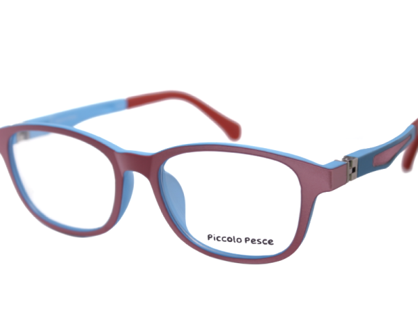 1054 LDS C44 Piccolo Pesce