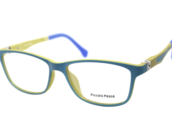 1100 LDS C31 Piccolo Pesce