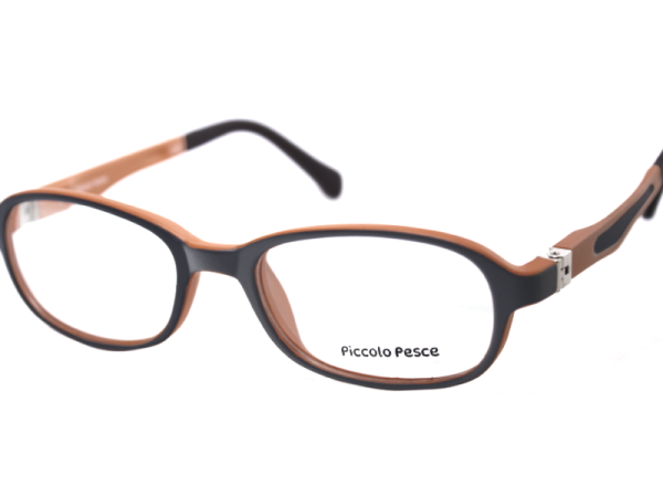 1002 LDS C30 Piccolo Pesce