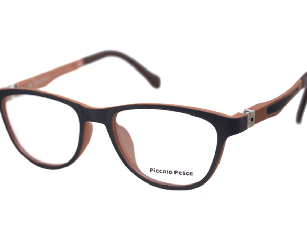 1056 LDS C30 Piccolo Pesce