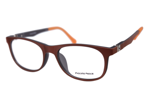 1066 LDS C17 Piccolo Pesce