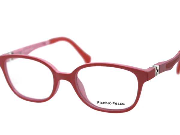 1088 LDS C04 Piccolo Pesce