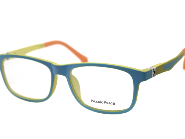 1091 LDS C31 Piccolo Pesce