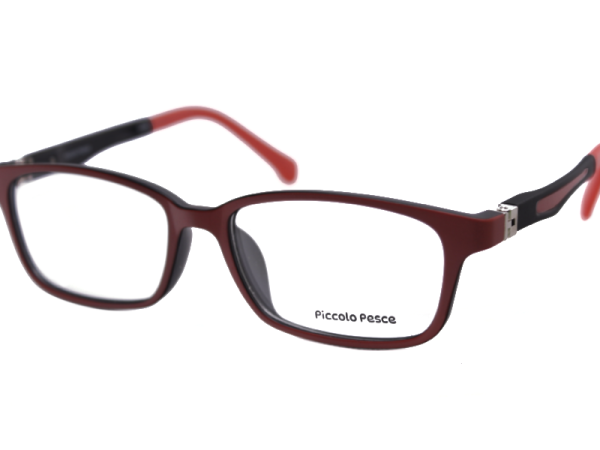 1092 LDS C06 Piccolo Pesce