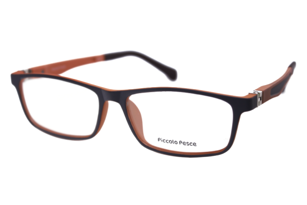 1105 LDS C30 Piccolo Pesce