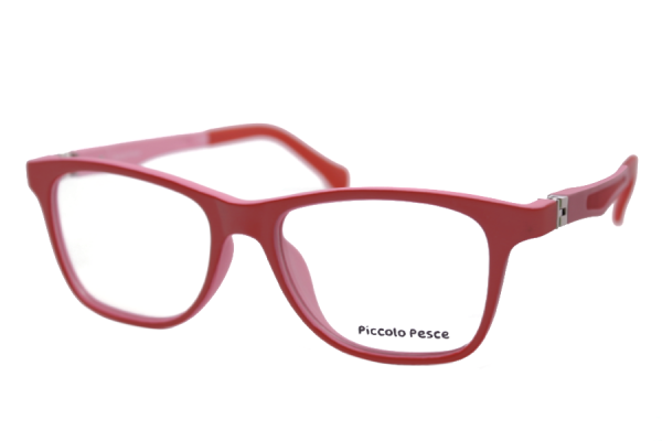 1106 LDS C04 Piccolo Pesce