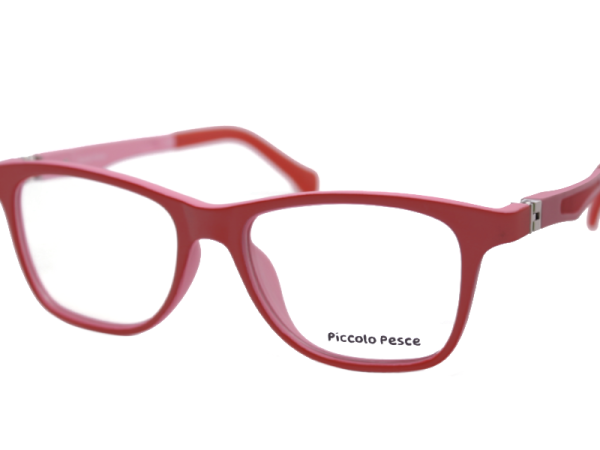 1106 LDS C04 Piccolo Pesce