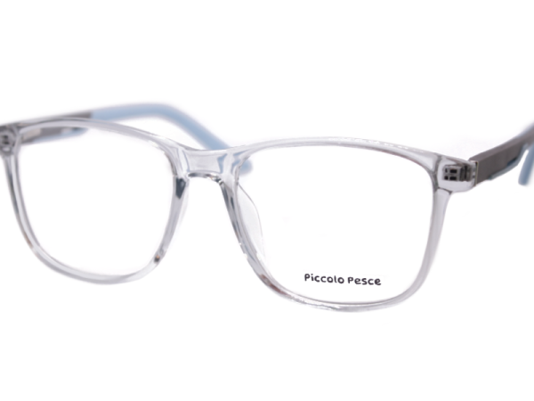 26076 TR C2 Piccolo Pesce