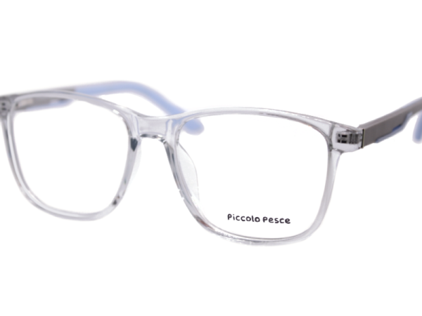 26076 TR C6 Piccolo Pesce