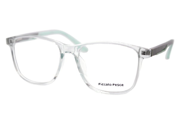 26076 TR C8 Piccolo Pesce