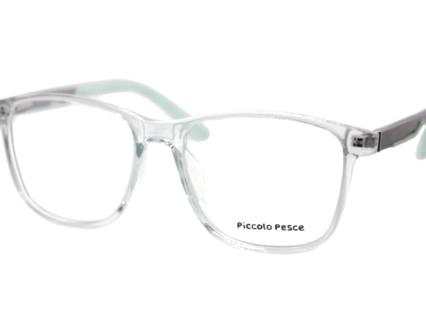 26076 TR C8 Piccolo Pesce