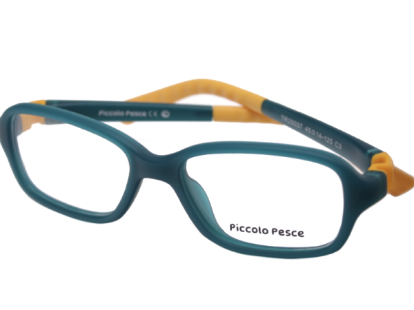 25037 TR C3 Piccolo Pesce