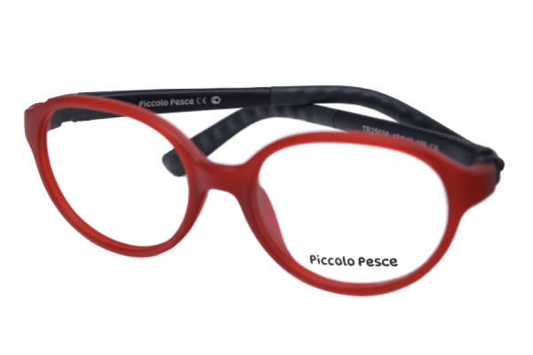 25036 TR C6 Piccolo Pesce