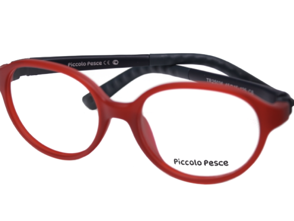 25036 TR C6 Piccolo Pesce