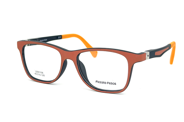 1106 LDS C17 Piccolo Pesce