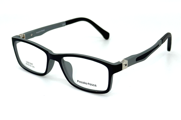 1057 LDS C01 Piccolo Pesce