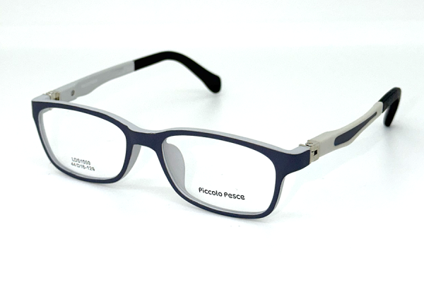 1059 LDS C13 Piccolo Pesce