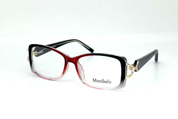 17071 B C1 MonSolis